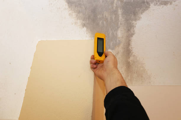 Best Mold Remediation for Healthcare Facilities  in Sicklerville, NJ