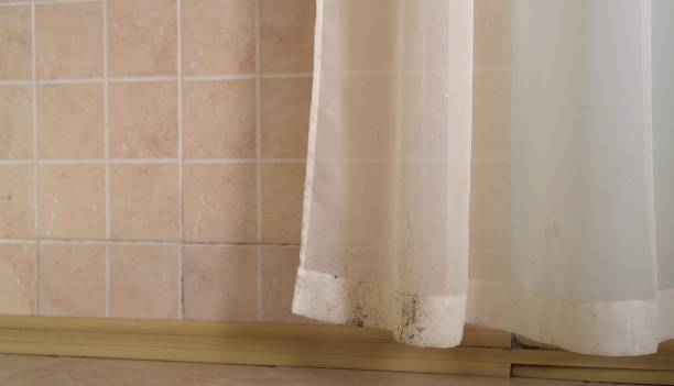 Best Real Estate Mold Inspection  in Sicklerville, NJ
