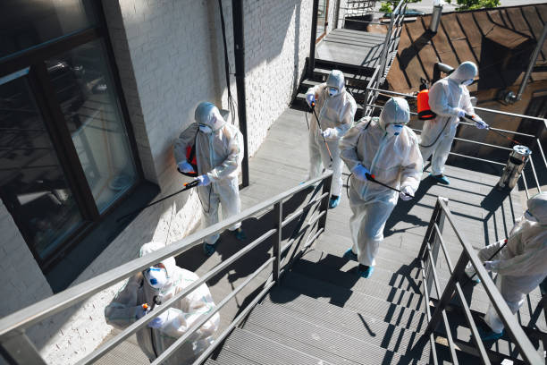 Best Mold Remediation for Healthcare Facilities  in Sicklerville, NJ