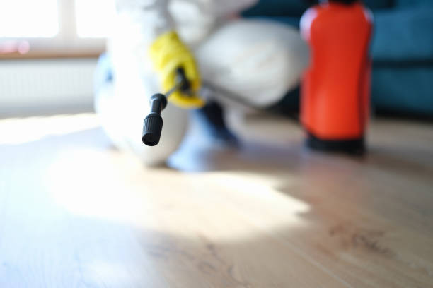 Best Airborne Mold Testing  in Sicklerville, NJ