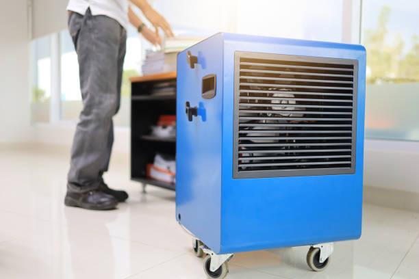 Best Mold Removal for HVAC Installations  in Sicklerville, NJ