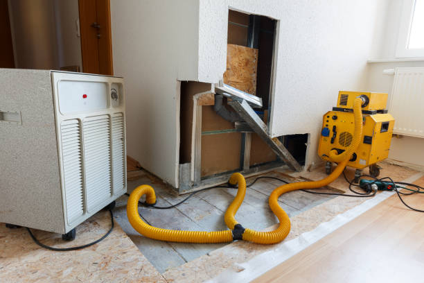 Best Water Damage & Mold Remediation  in Sicklerville, NJ