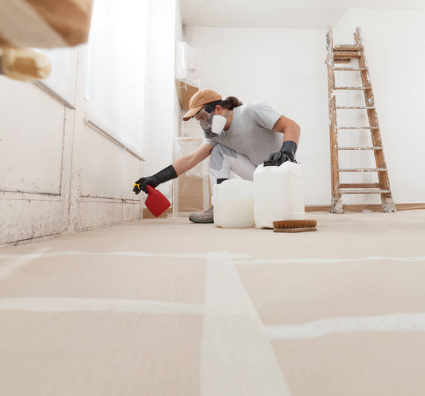 Mold Documentation for Insurance Claims in Sicklerville, NJ